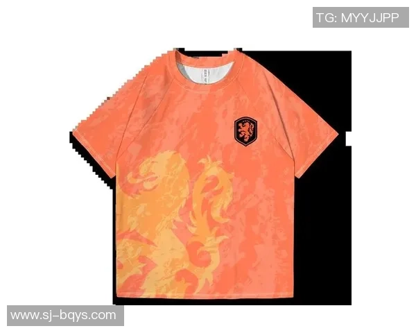 荷兰足球新星崛起：现代足球战术中的关键角色与未来潜力